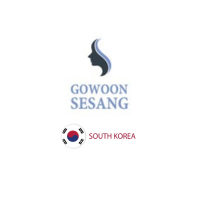 GOWOONSESANG Plastic Surgery Logo - South Korea