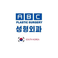 Dream Plastic Surgery