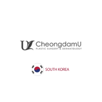 Cheongdam U Plastic Surgery & Dermatology