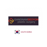 Gangnam Seoyon Plastic Surgery Logo South Korea