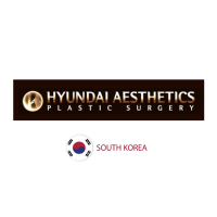 Hyundai Aesthetics - South Korea