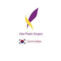 View Plastic Surgery -  South Korea